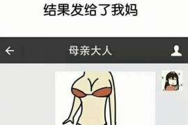 西夏商务调查